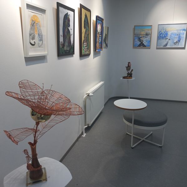 Tiedosto:Kirjaston fb.jpg