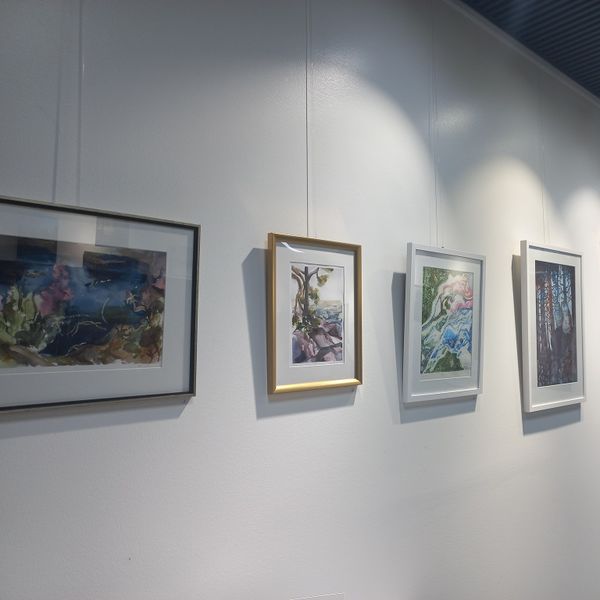 Tiedosto:Kirjaston fb3.jpg