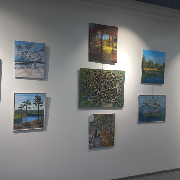 Tiedosto:Kirjaston fb5.jpg